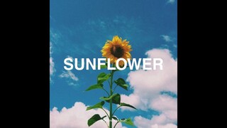 (FREE USE) Chill Guitar Type Beat - "Sunflower"