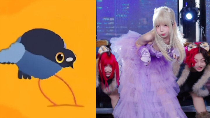 Merpati gila, tetap datang meski sudah jelas tak diinginkan?