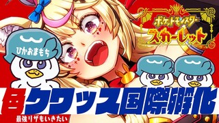【ポケモンSV/Pokémon】色クワチャレンジPART2！！どうせなら強い子がほしい！！！【尾丸ポルカ/ホロライブ】