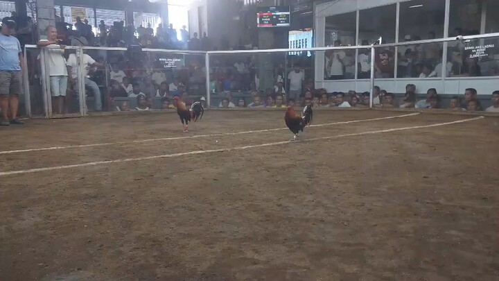MUNTINLUPA COLUSIUM 1ST FIGHT LOST