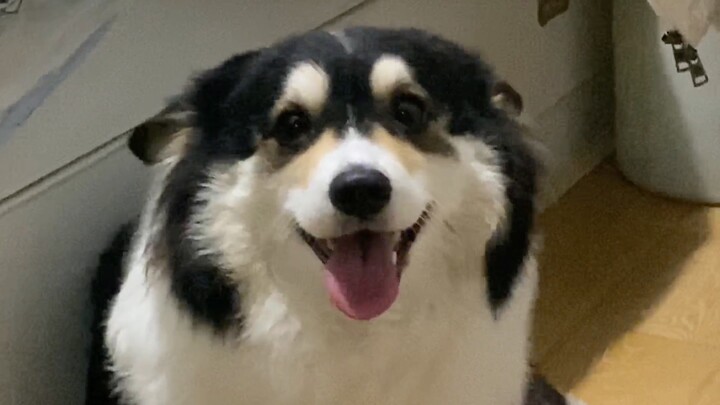 Who else gets it? When it smiles, my heart melts.