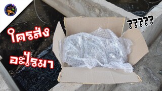 ใครส่งอะไรมาให้ห่อกันกระแทกอย่างดีงานนี้รอดไม่รอดมาลุ้นกันสไตล์korattv