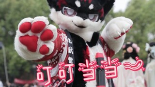 【Fursuit/兽装】酒店的叮叮当当^ω^~