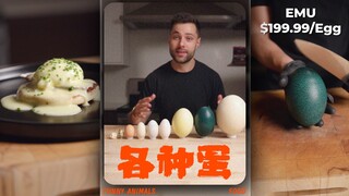 今天来吃各种蛋🥚