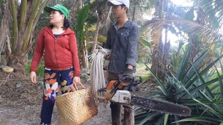 Vợ Mới VừaThất Nghiệp Liền Ôm Máy Cưa Theo Chồng Đi Kiếm Sống| TKQ T235
