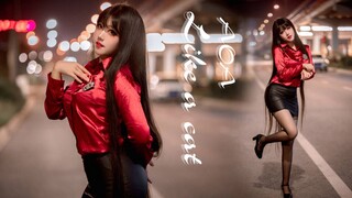 แมวอ้วนกำลังเดินเข้ามาหาคุณ คุณพร้อมที่จะ... ~ Catwalk Quietly - AOA ~ Vertical Screen