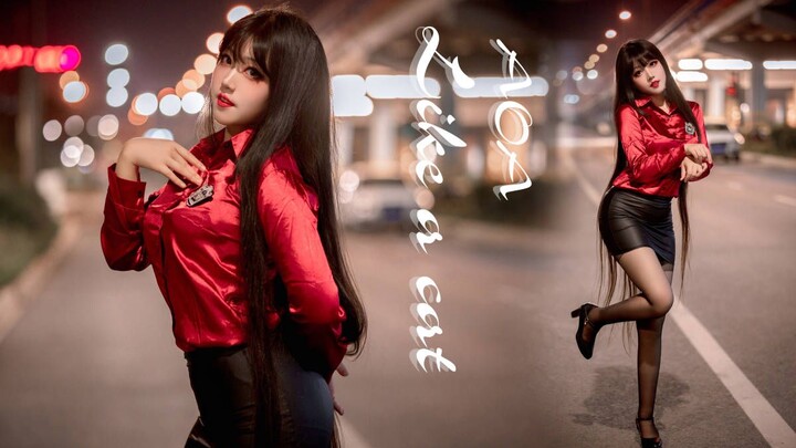 A chubby cat is walking towards you, are you ready to... ~ Catwalk Quietly - AOA ~ Vertical Screen
