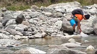 Cast Net Fishing in Nepal | Himalayan Trout Fishing in Nepal | Asala Fishing |