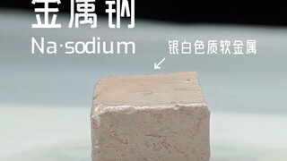 Ayo lihat aurora bersama!