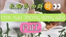 Con Nai Trong Rừng Sâu ( Trương Kế Quân ) Full