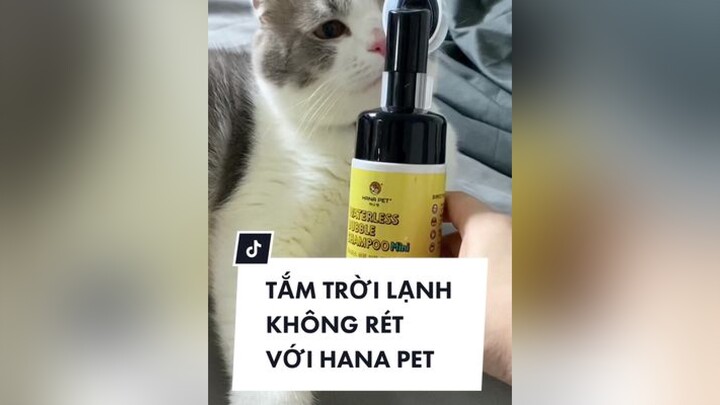 Tắm trời lạnh không rét với Hana Pet cat meo TrungThu2022 trending bottamkho hanapet