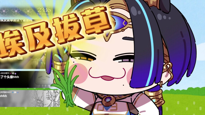 埃及猫就要去“埃及吧O”