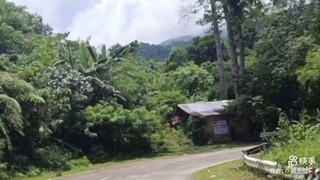 人生一场别人追屋逐堡我只要风花雪月，花棚石凳小坐微醺，歌一曲茗一杯，自得其乐