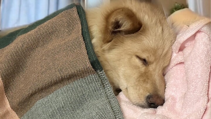 Sulit tidur, pikiranku penuh dengan dirimu.