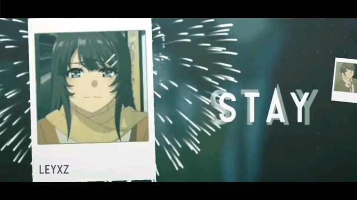 Mai Sakurajima AMV Typography - Stay