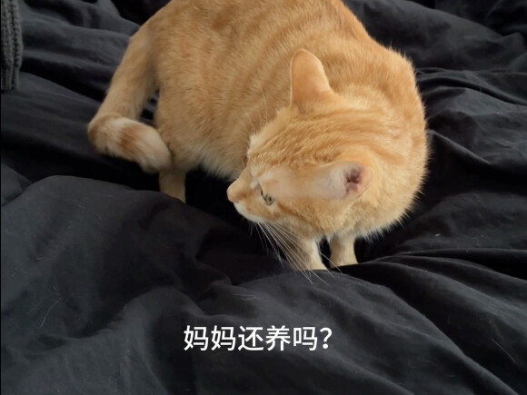 Should I keep raising it, Mom?