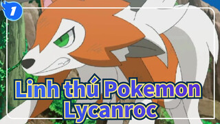 [Linh thú Pokemon] Tiến hóa giữa ánh sáng và bóng tối| Lycanroc Dạng hoàng hôn_1