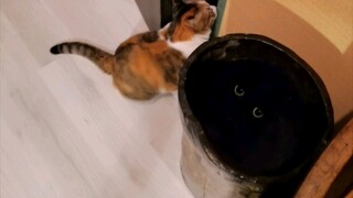 这个木桶有古怪！