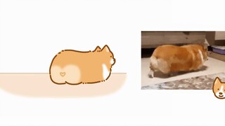 Corgi ass~ I'll sit down when I'm tired~~