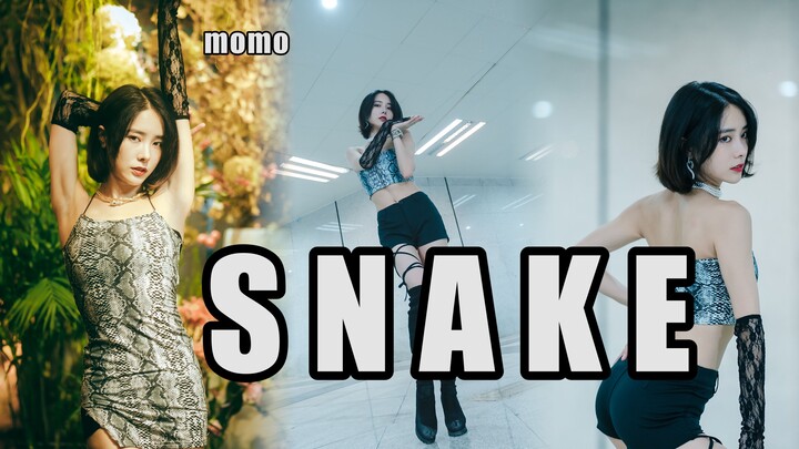 [Momo Vertical Version] Snake dances sexyly, dances hard, pretending to be a beautiful snake, very d
