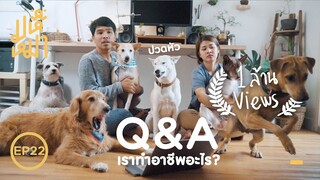 อยู่แต่กับหมา..แล้วทำอาชีพอะไร ? ตอบคำถาม Q&A - มหึหมา EP22