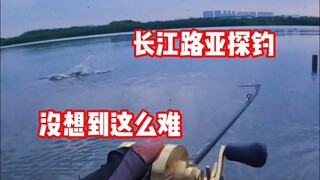 Yangtze River Lure Fishing Exploration—Unexpectedly So Difficult