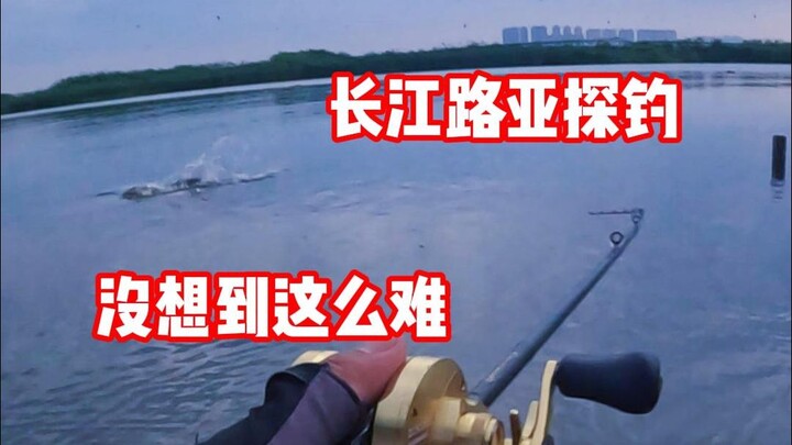 长江路亚探钓 没想到这么难