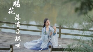 【千岁】杨花落尽子规啼 是能让你动心的仙女吗？