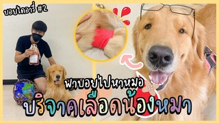 บอยมึน! เลือดออก เพราะ บอย ไปบริจาคเลือดสำหรับน้องหมา - บอยไดอารี่ #2