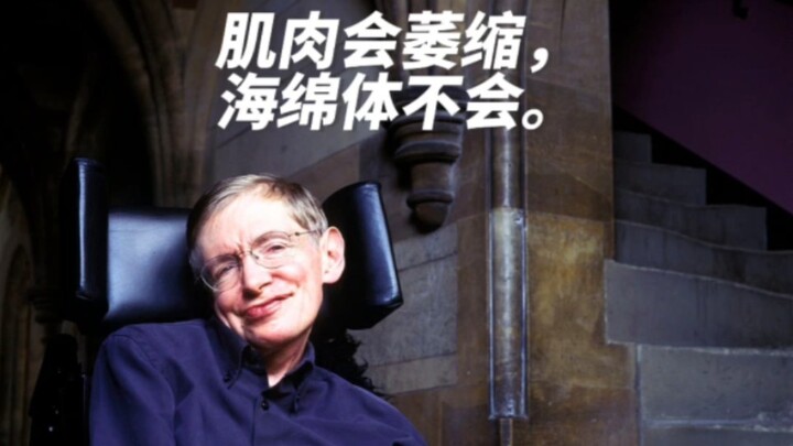 Hawking's quotes