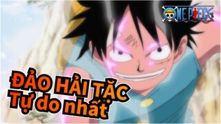 ĐẢO HẢI TẶC
Tự do nhất