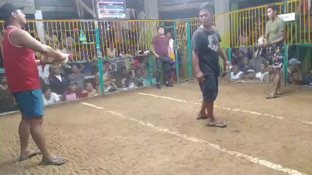 2022-3rd fight champion in brgy dinahican infanta quezon cockfit