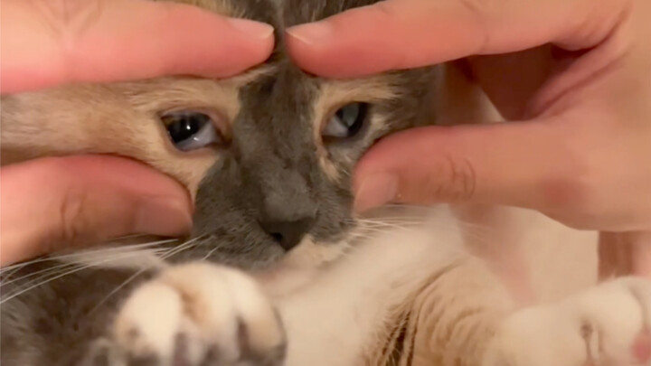 Putri telah mematikan mikrofon