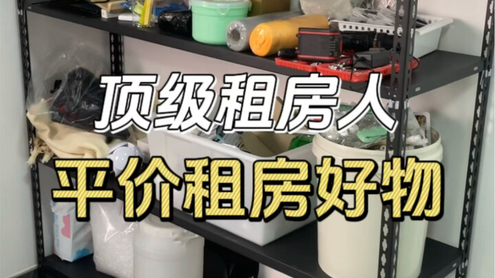 Top Renters Who’ve Hit Numerous Pitfalls Share Their Must-Have Budget-Friendly Rental Finds