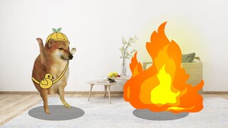 我家着火了