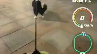 狗子：我真不是人，你也是真的狗