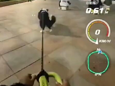 狗子：我真不是人，你也是真的狗