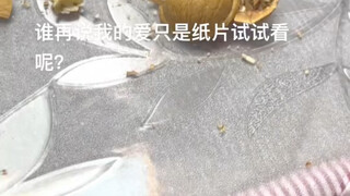 My love isn't just a piece of paper!