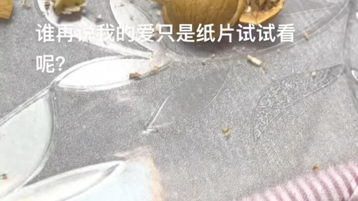 My love isn't just a piece of paper!