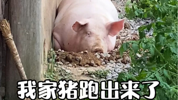 Có thể về vật chất chúng ta không giàu có, nhưng trong cuộc sống bình dị này, chỉ cần có tôi ở bên, 