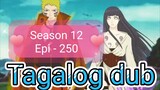 Episode 250 @ Season 12 @ Naruto shippuden @ Tagalog dub