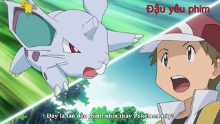 Tóm tắt anime: Pokemon: The Origin | Pokemon gốc Phần 1 ( Tập 1 + 2 )