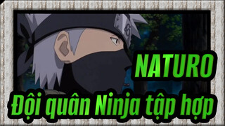 NATURO|[Kakashi/Gekijo,Ban,Naruto]Trước,cuộc,đụng,độ,Ninja,4-Đội,quân,Ninja,tập,hợp_A