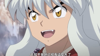 【半妖的夜叉姬】诸叶跟犬薇夫妇的重逢 泪目了家人们