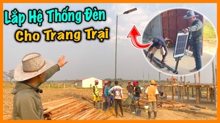 Quanglinhvlogs || Thêm Một Bước Đi Mới - Lắp Thử Hệ Thống Đèn Năng Lượng Mặt Trời Cho Trang Trại ???