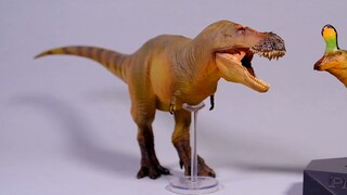 [Mô hình khủng long] Đánh giá mở hộp rồng Thanh Đảo PNSO1/35 được khôi phục một cách khoa học!