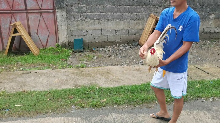 parehas madiin mamalo hahaha
