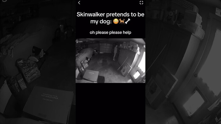 Skinwalker DISGUISED as DOG 🐕😳