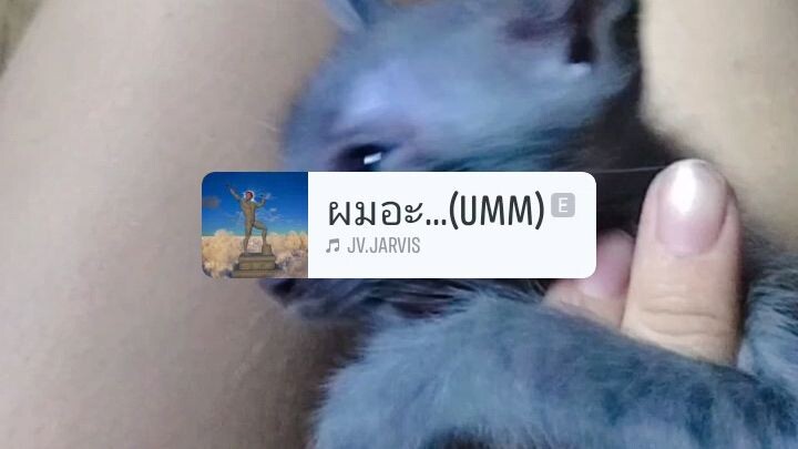 กิจกรรม