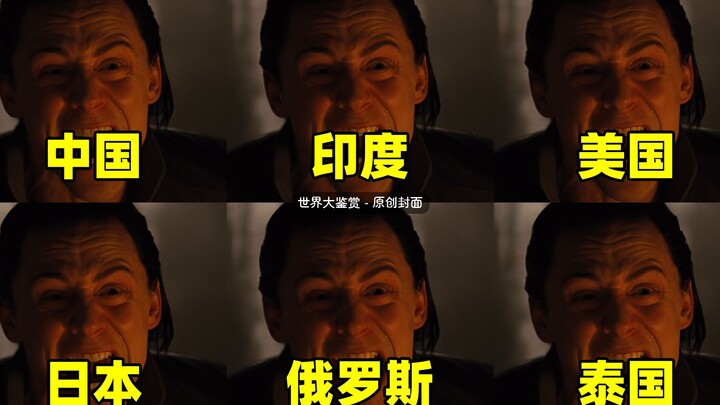 不同国家的告诉我，面对各种语言的咆哮，大爷无动于衷